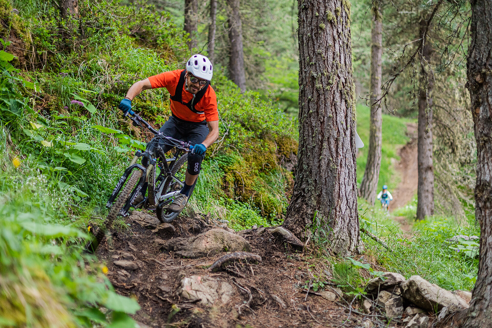 Trail Arena Tour