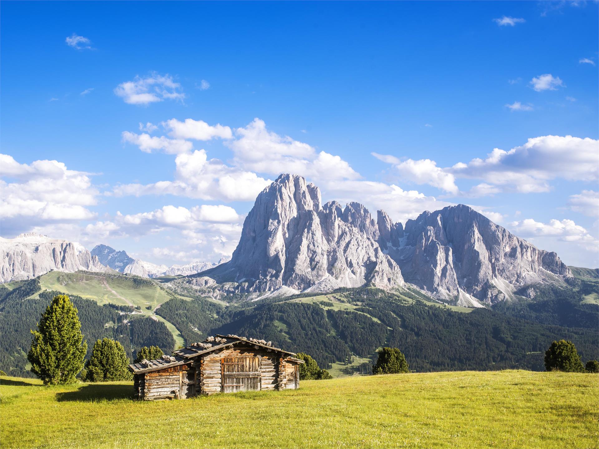 A 360° view of the cima Pic S.Crestina Gherdëina/Santa Cristina Val Gardana 5 suedtirol.info