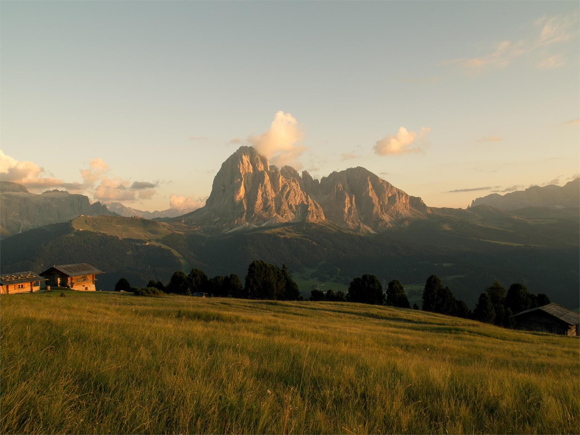 A 360° view of the cima Pic S.Crestina Gherdëina/Santa Cristina Val Gardana 7 suedtirol.info