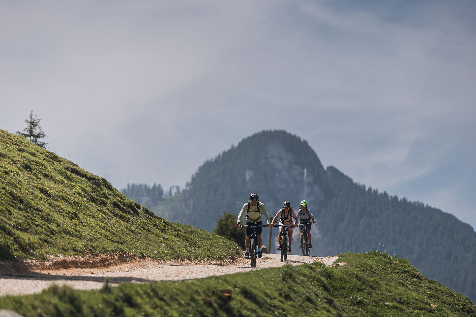 249 Hofer Alpl loop route - Dolomites Region Seiser Alm - #2 - suedtirol.info