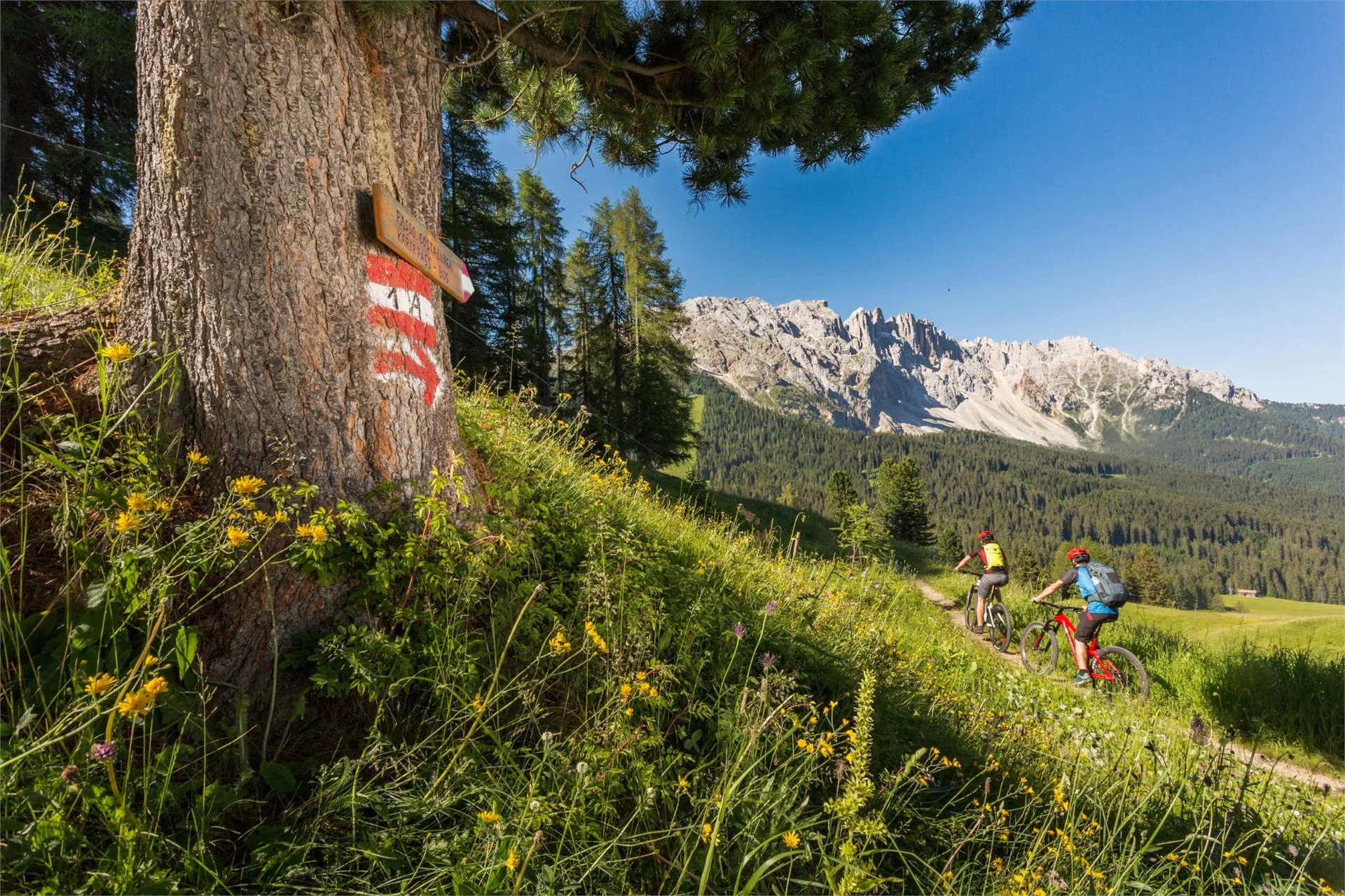 356 Giro del Lago di Carezza Nova Levante 2 suedtirol.info