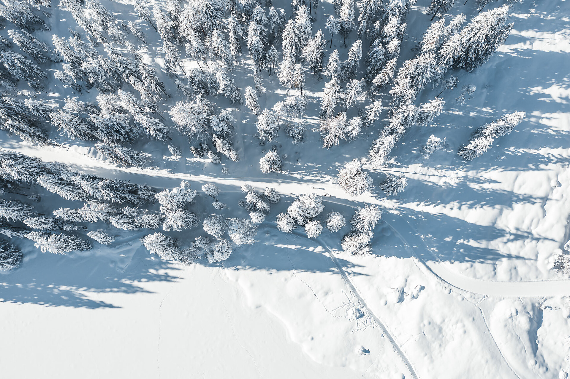 11B Toblach/Dobbiaco: Round Val Fonda  - Dolomites Region 3 Zinnen - #1 - suedtirol.info