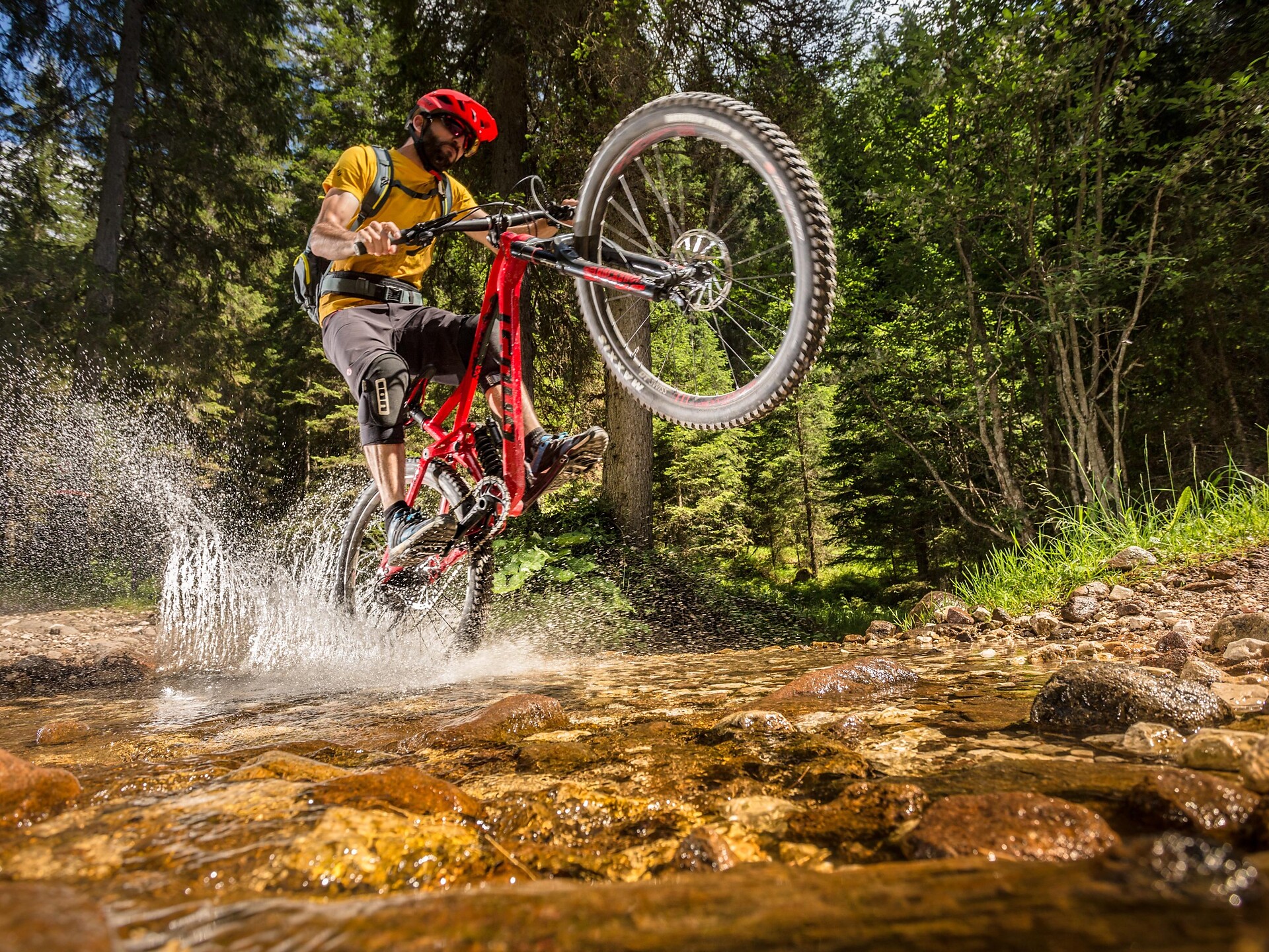 MTB
