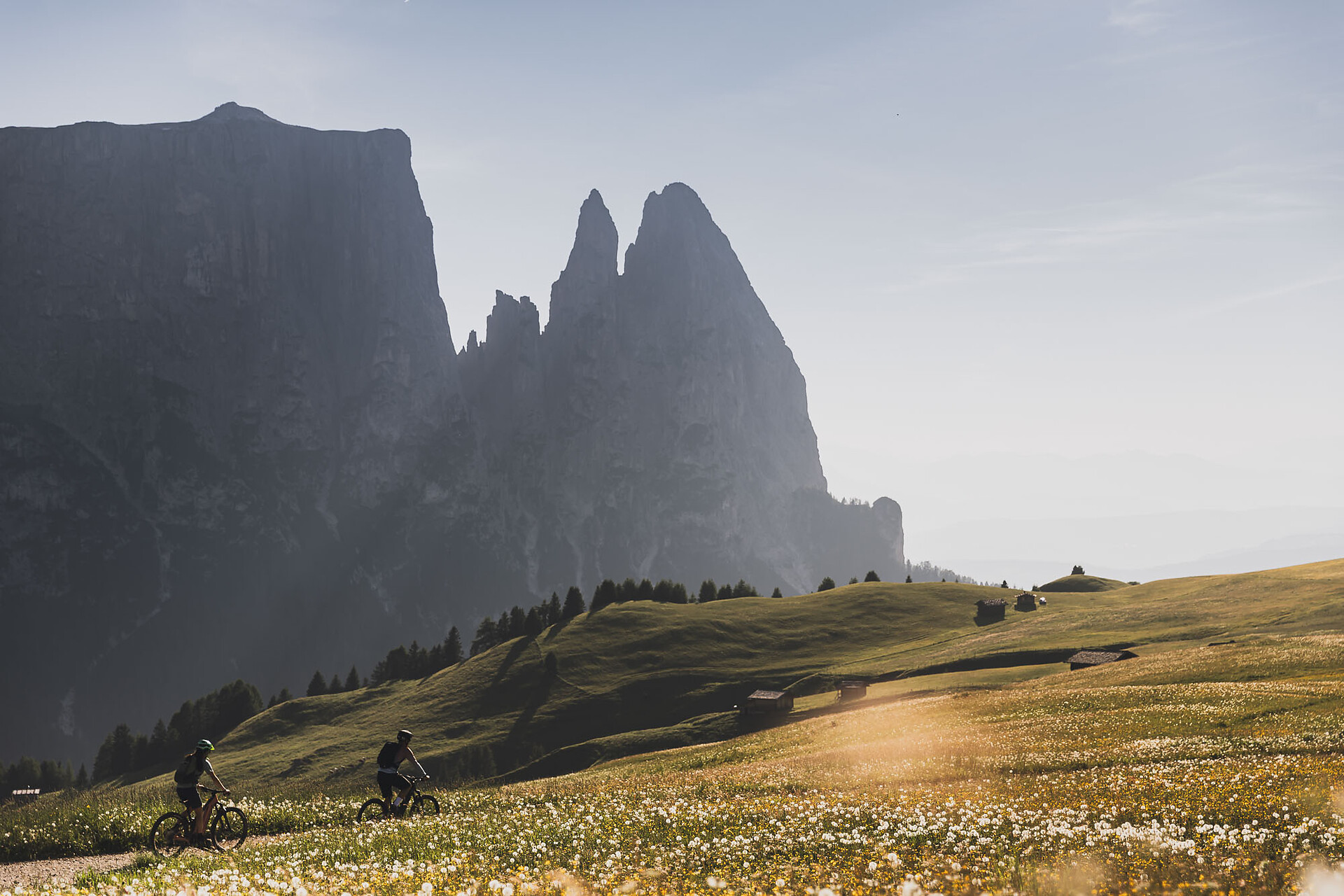 284 Spitzbühl loop route - Dolomites Region Seiser Alm - #1 - suedtirol.info