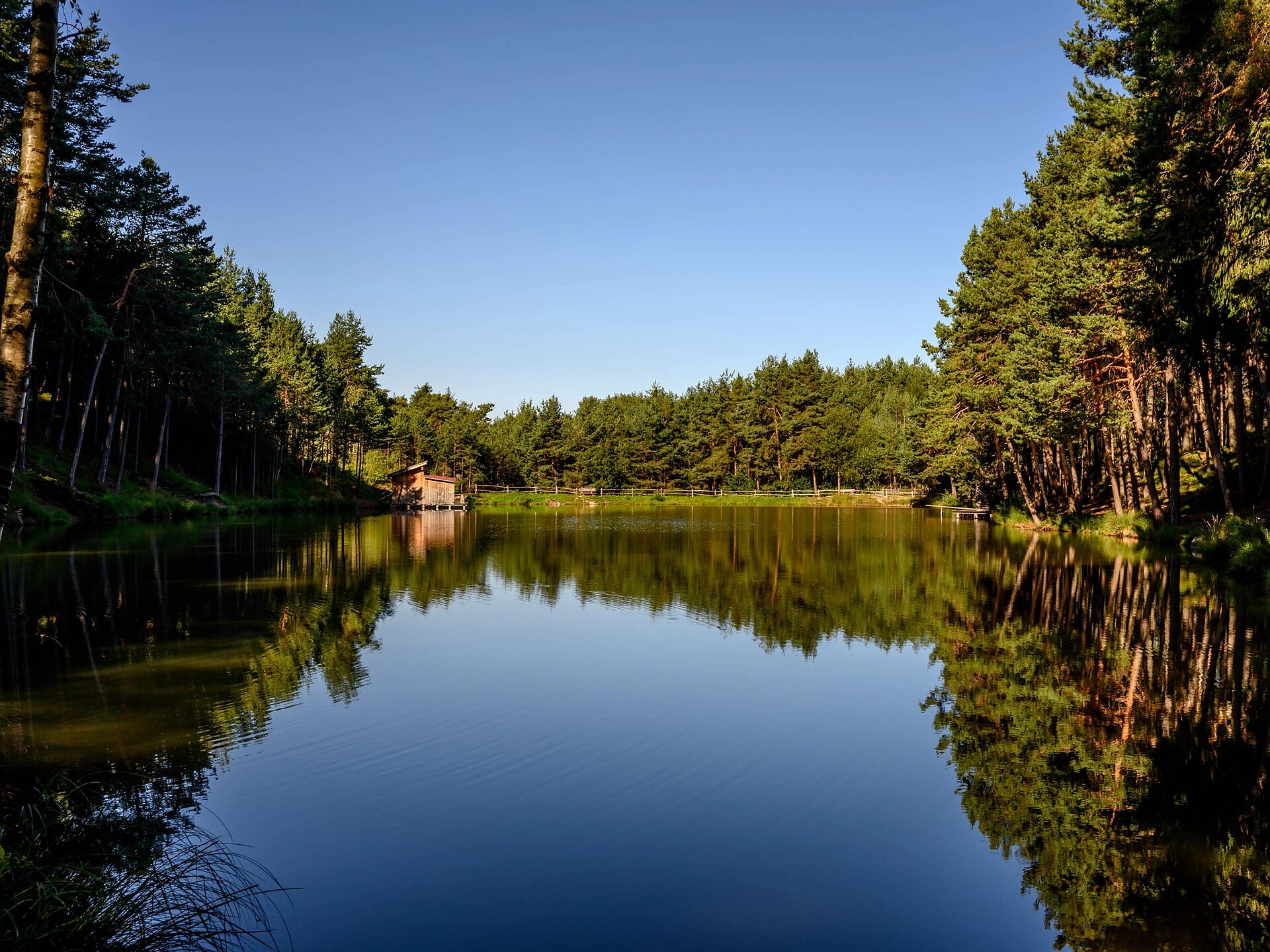 Gfliererweiher