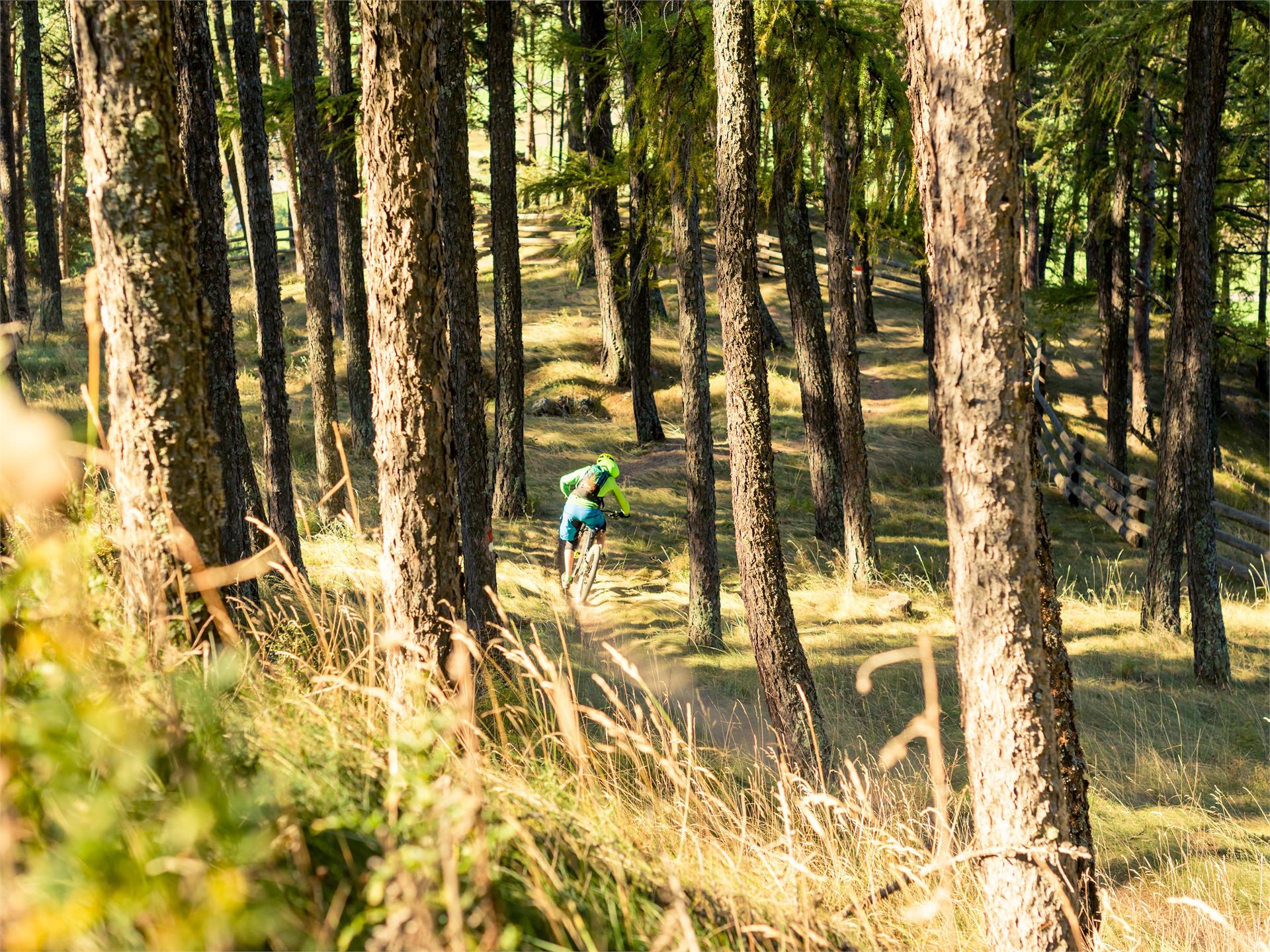 4-gewinnt-13 Trail Latsch 1 suedtirol.info