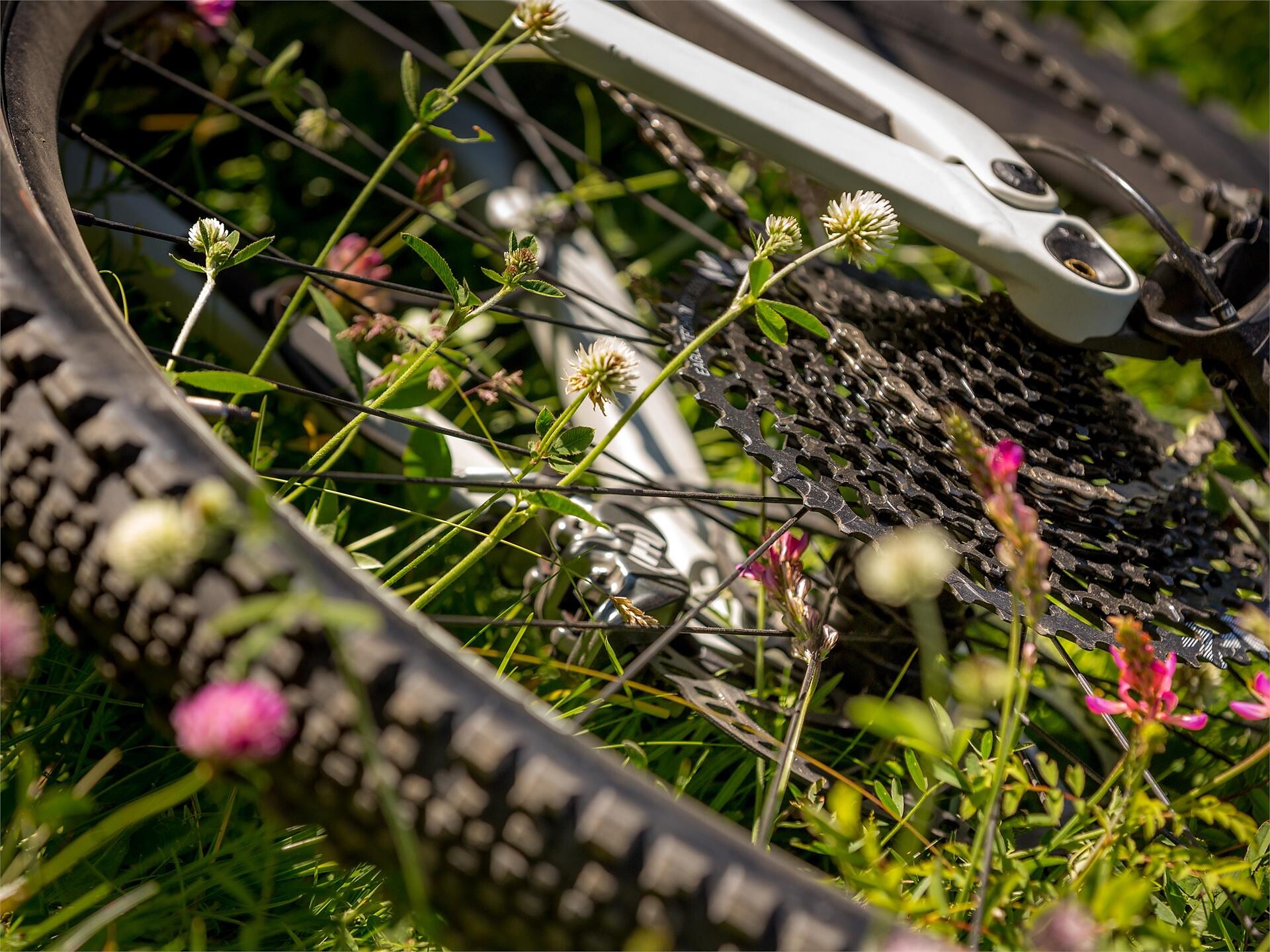 MTB