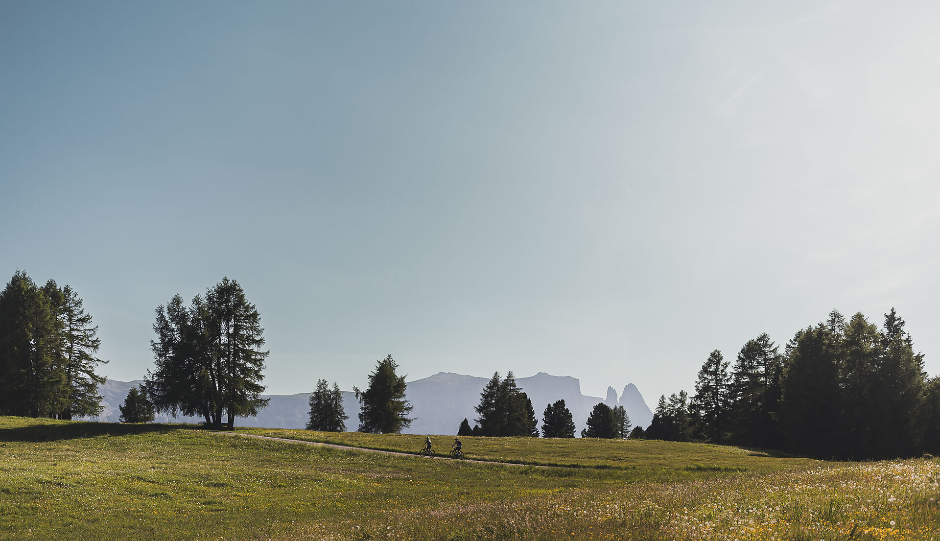 213 Seiser Alm/Val Gardena panoramic tour - Dolomites Region Seiser Alm - #3 - suedtirol.info