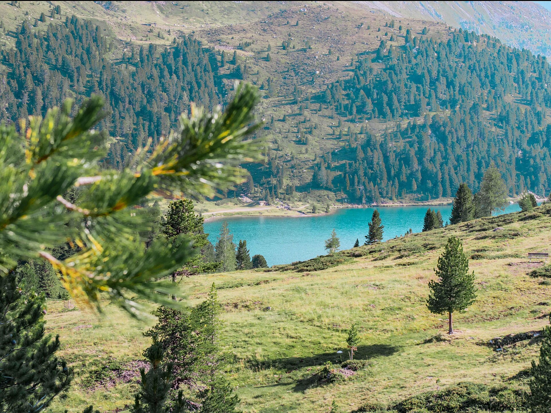 Obersee