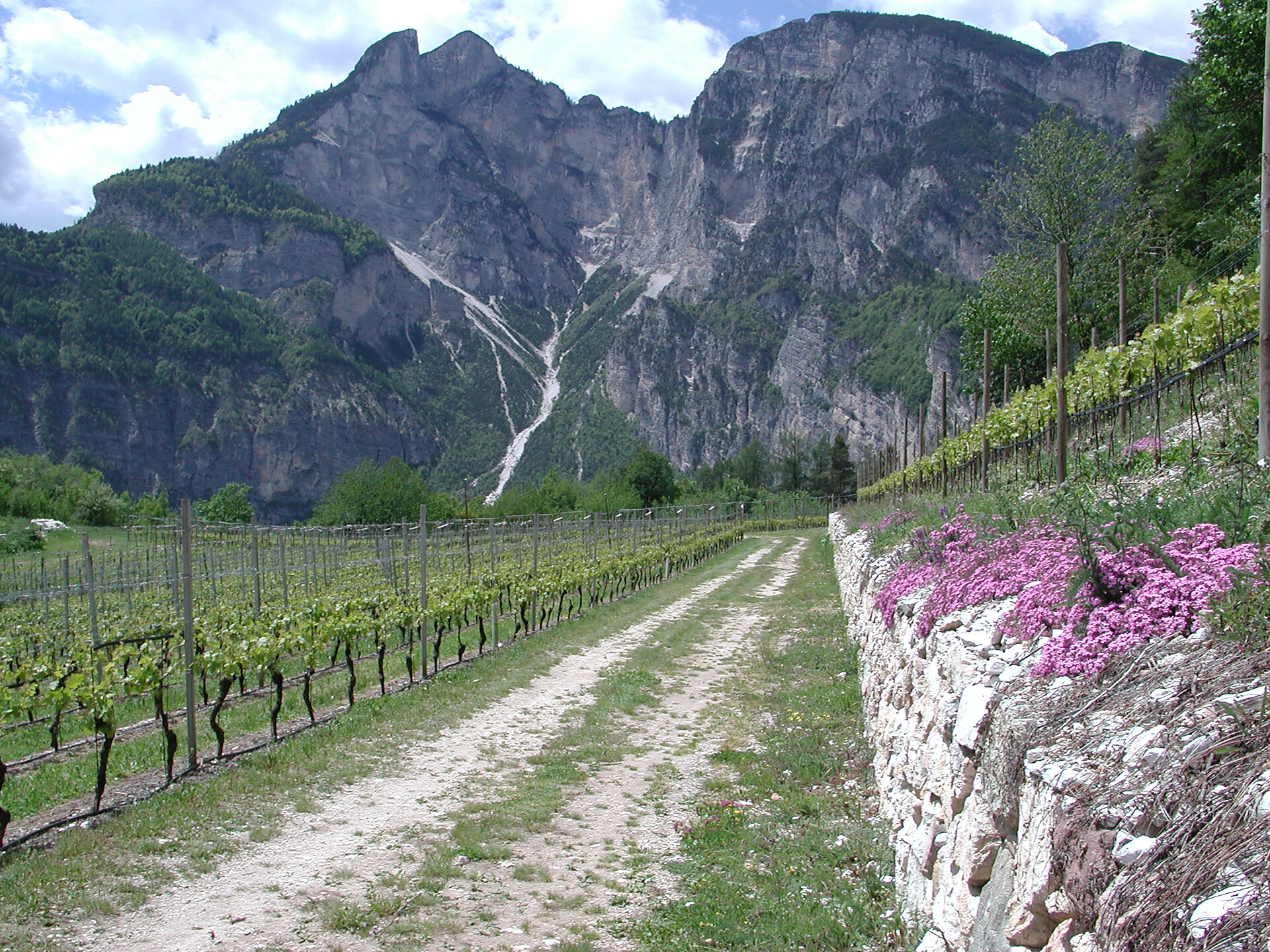 Fennberg