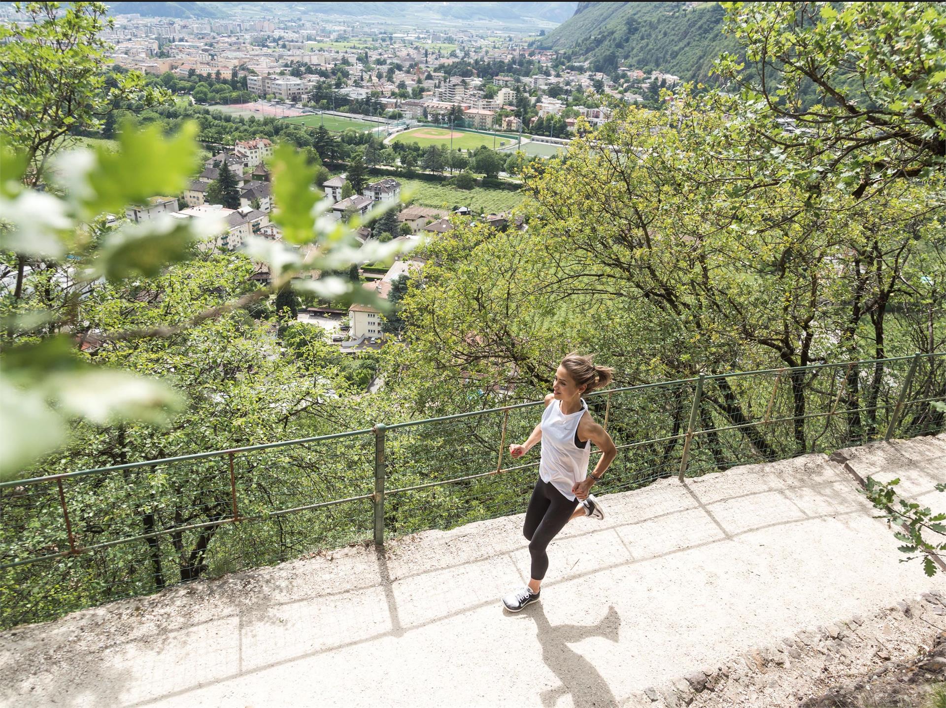 Oswald-Lauf: 7,3 km Bozen 1 suedtirol.info