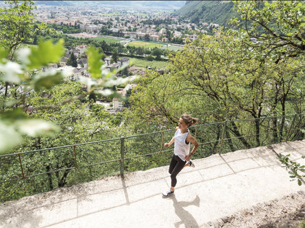 Oswald Run: 7,3 km Bolzano/Bozen 1 suedtirol.info