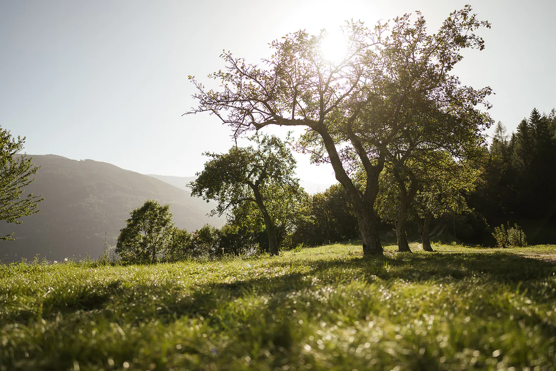 Oberplars - Saxner path - Vellau - Kienegger path - Oberplars