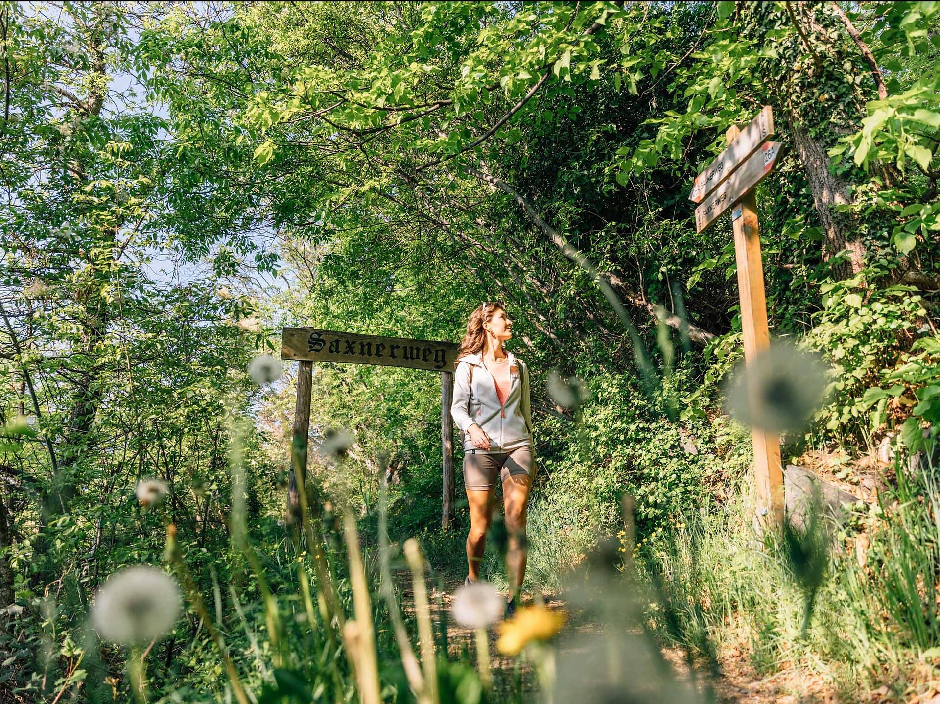 Oberplars - Saxner Weg - Vellau - Kienegger Weg - Oberplars - Meran und Umgebung - #2 - suedtirol.info