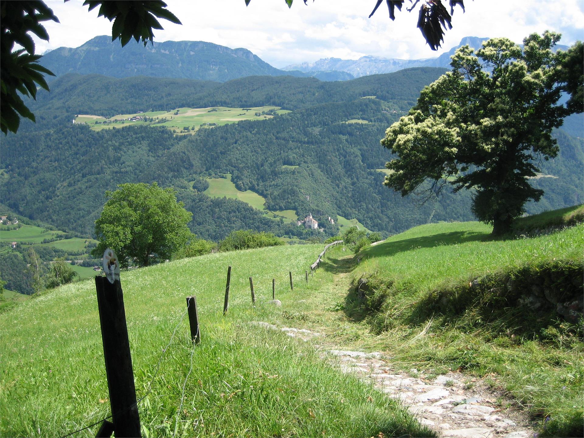 Percorso circolare Oberdorf a Barbiano Barbiano 1 suedtirol.info