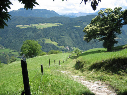 loop road of the "Barbianer Oberdorf" Barbian/Barbiano 1 suedtirol.info
