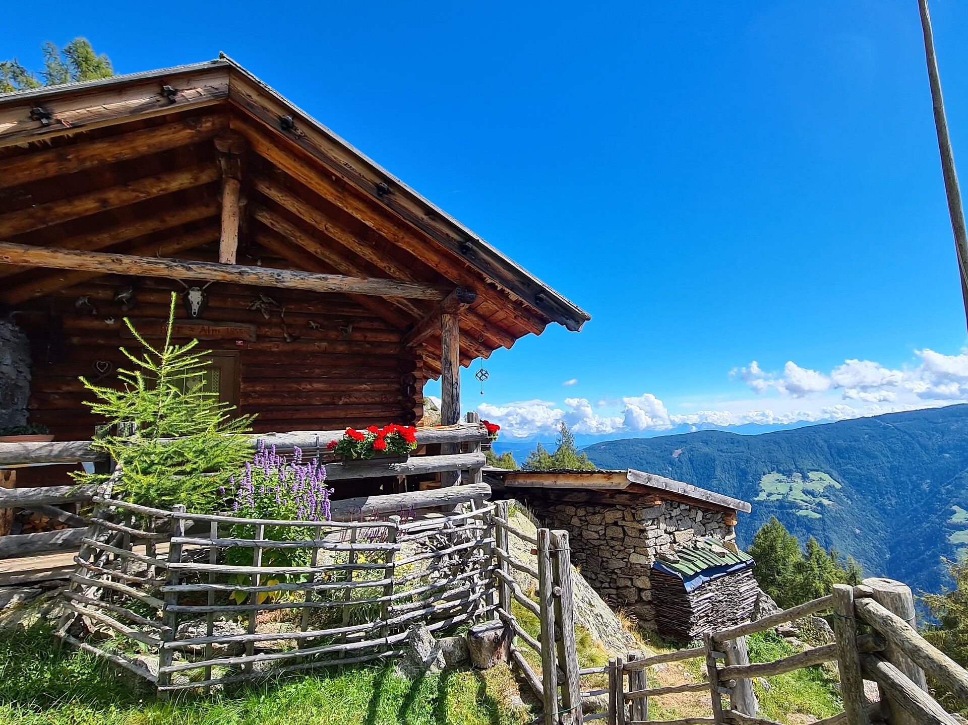 Circular summit hike to the viewing Orenknott (2,258 m) - Meran/Merano and environs - #5 - suedtirol.info