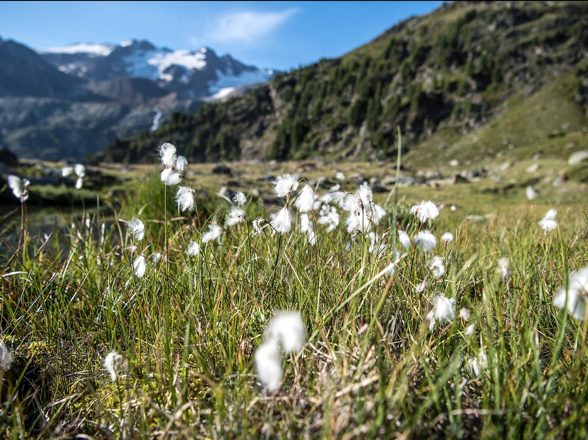 Ortler High Mountain Trail