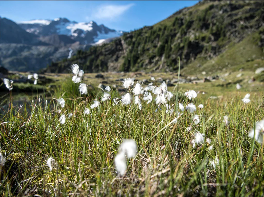 Alta Via dell'Ortles, tappa 6: Da Sant’Antonio al Lago di Cancano