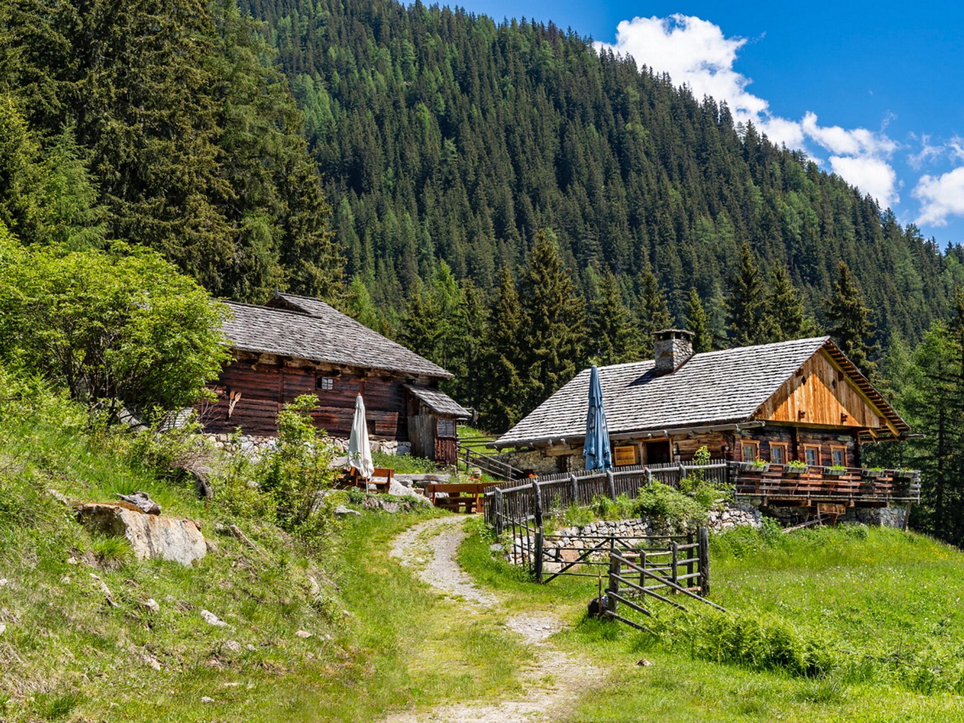 Escursione panoramica dal Centro Biathlon attraverso la Malga Schwörz fino ad Anterselva di Mezzo - Regione dolomitica Plan de Corones - #4 - suedtirol.info