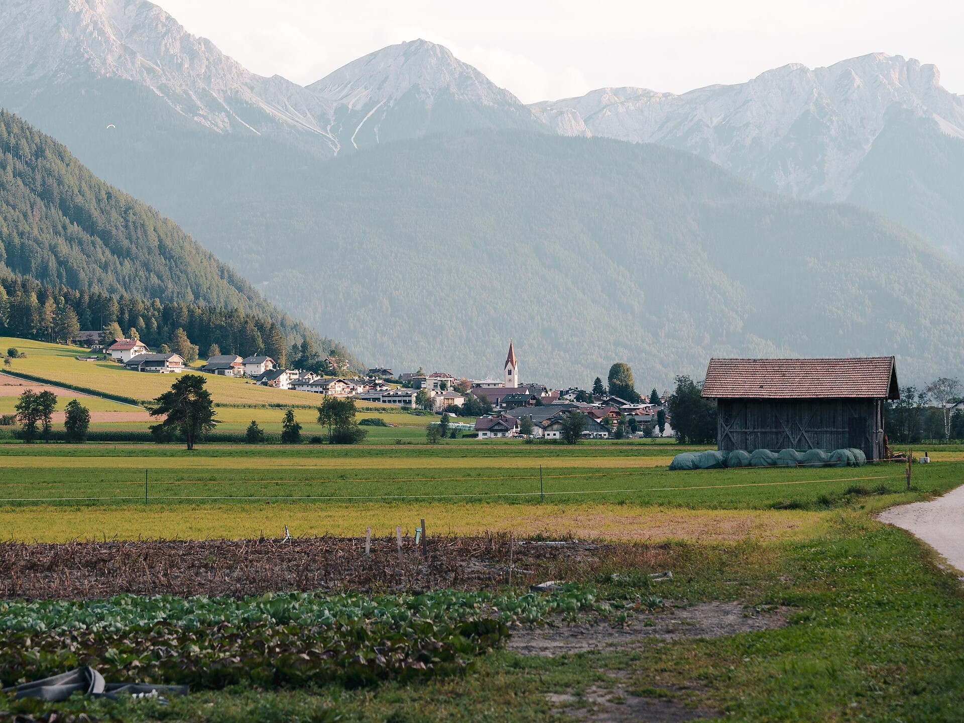 Oberrasen Circular Trail - Dolomites Region Kronplatz/Plan de Corones - #3 - suedtirol.info