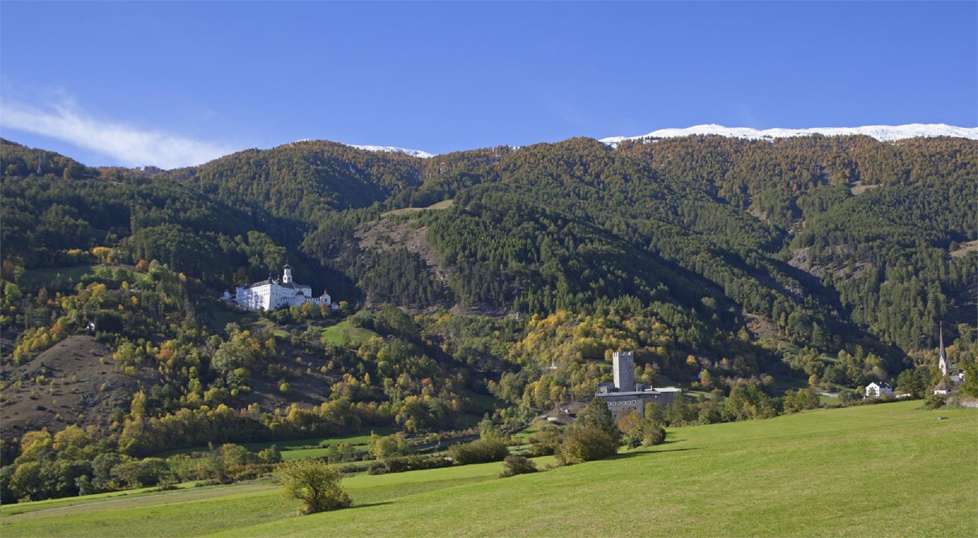 Alm pasture hike Mals/Malles 1 suedtirol.info