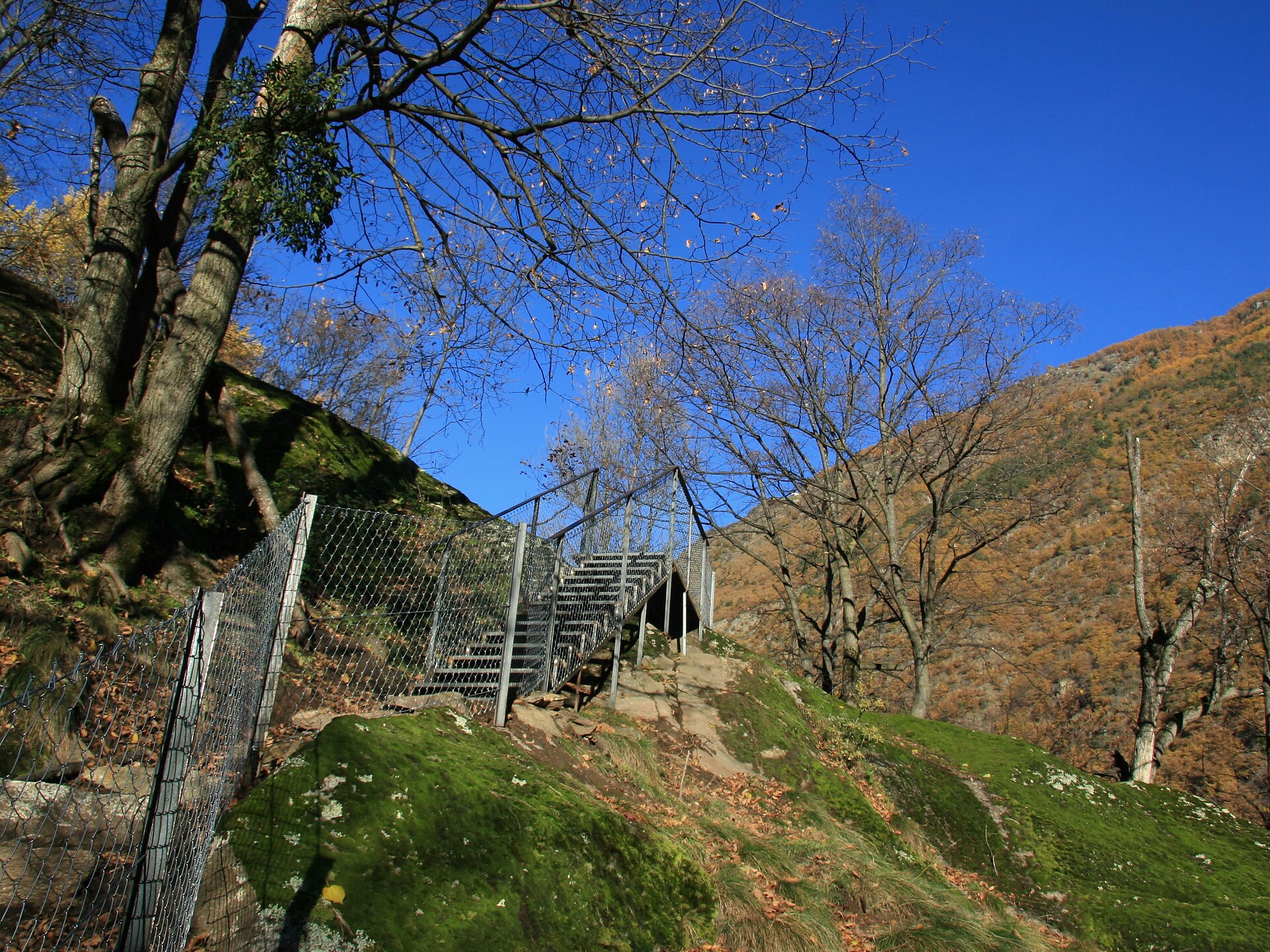 Ortlsteig
