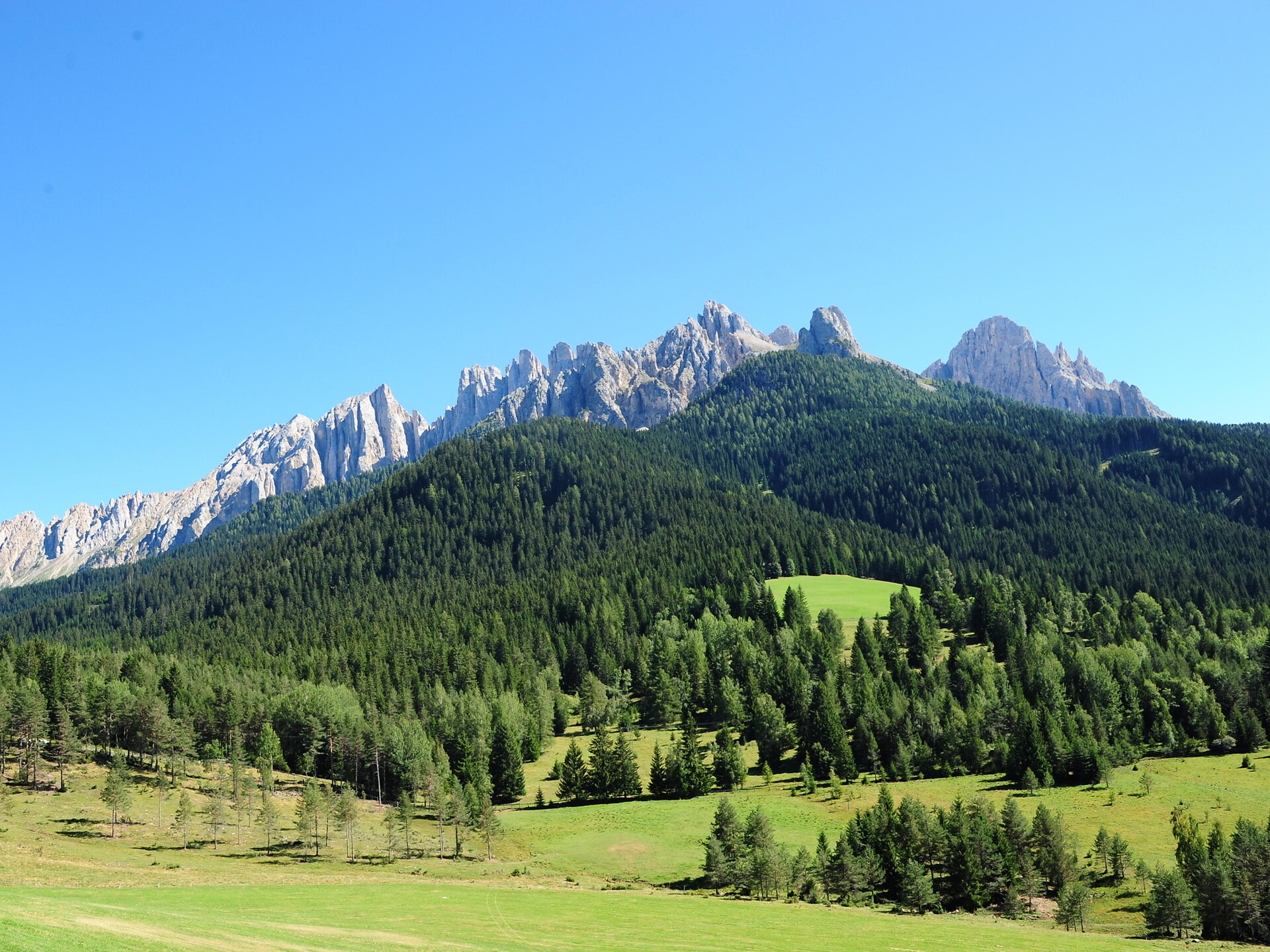 Vista panoramica Malga Stadl Alm