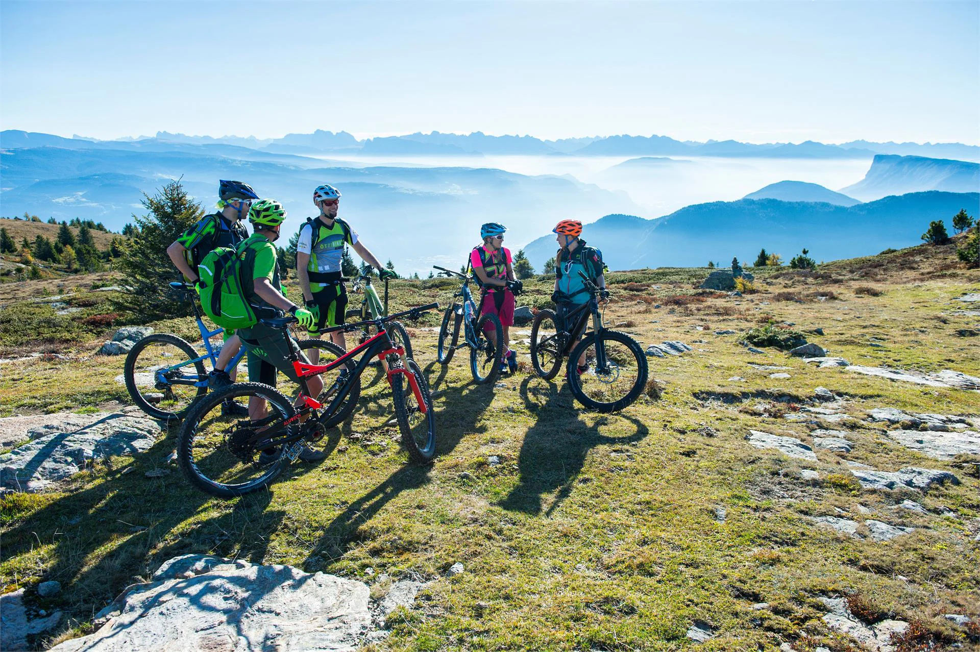 3 wheel bike academy top