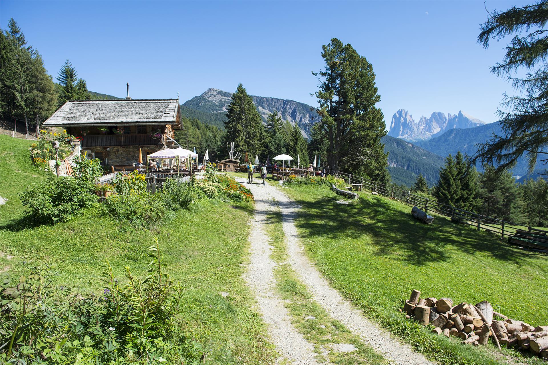 Sentiero della Posta - Malga Unterpulg Laion 4 suedtirol.info