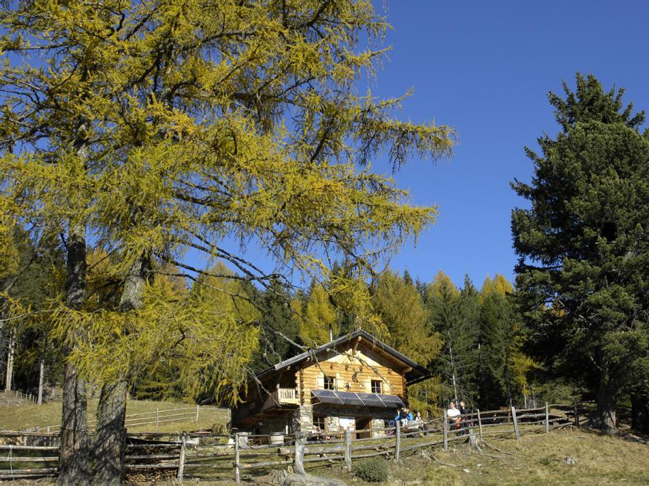 Sentiero della Posta - Malga Unterpulg Laion 3 suedtirol.info