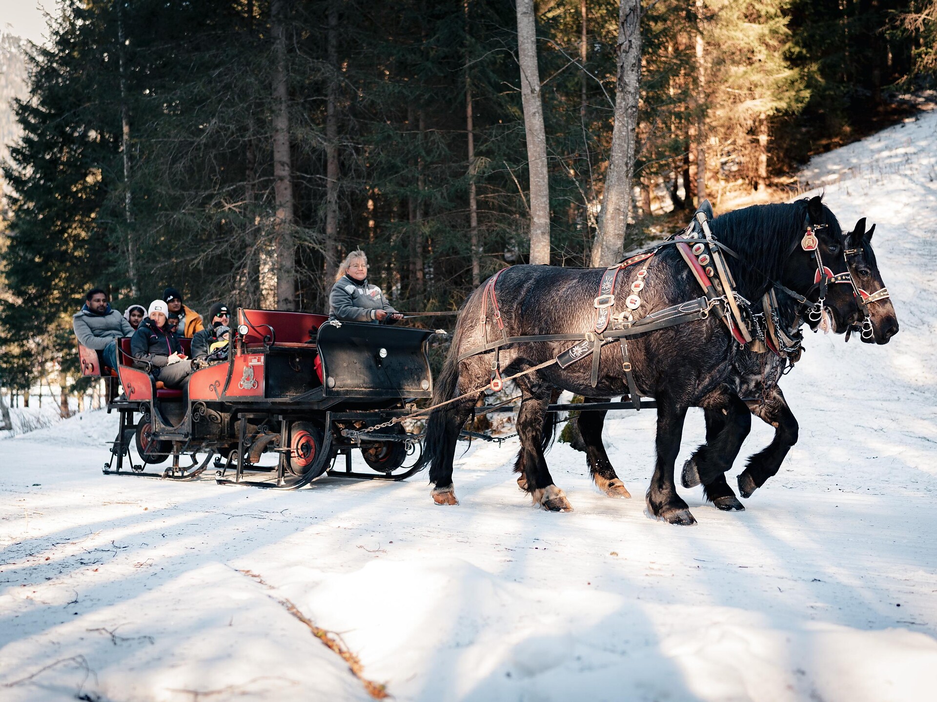Carozza trainata da cavalli ad Anterselva di Mezzo - Regione dolomitica Plan de Corones - #1 - suedtirol.info