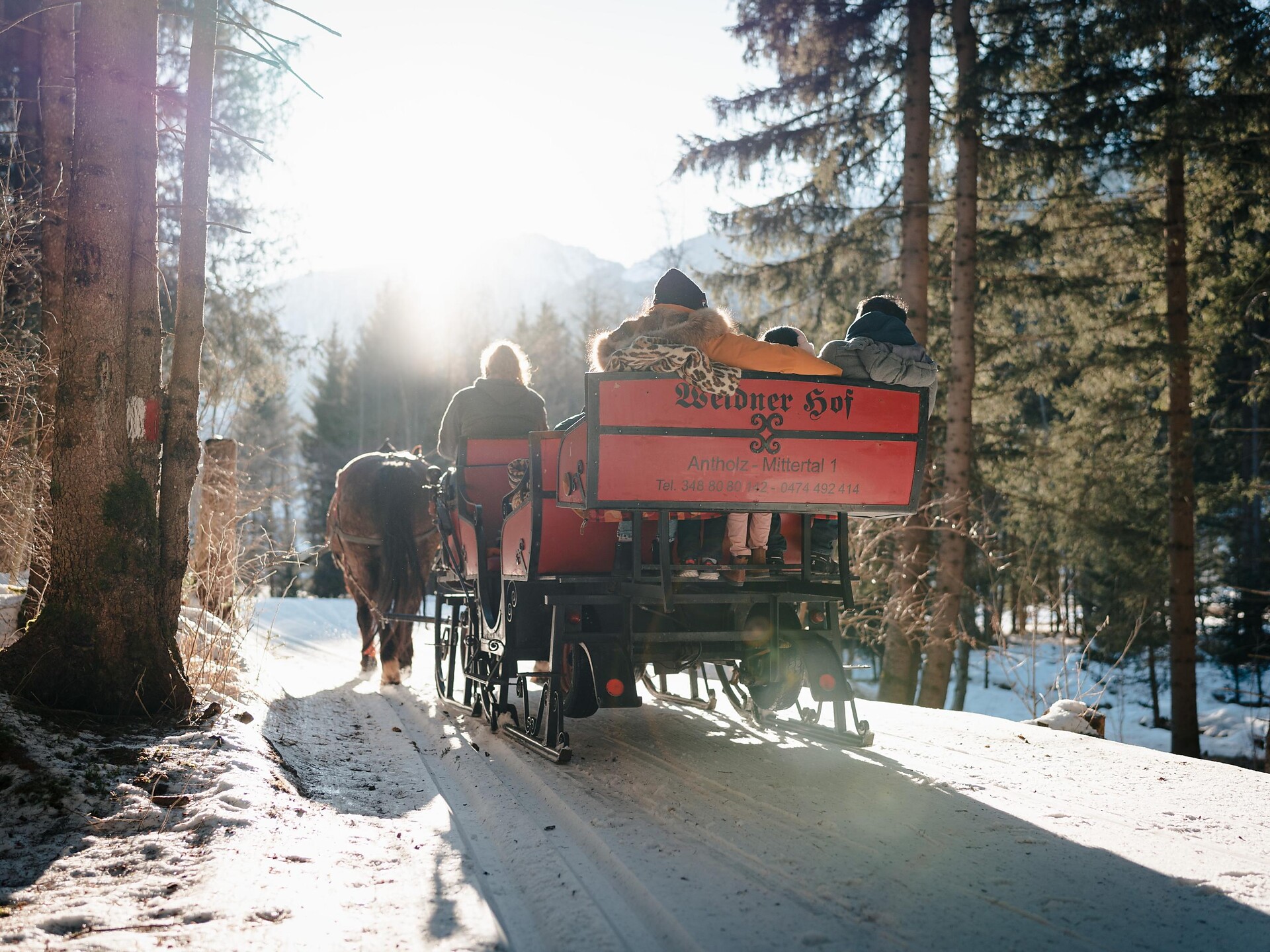 Gite in slitta trainata da cavalli ad Anterselva di Mezzo - Regione dolomitica Plan de Corones - #6 - suedtirol.info