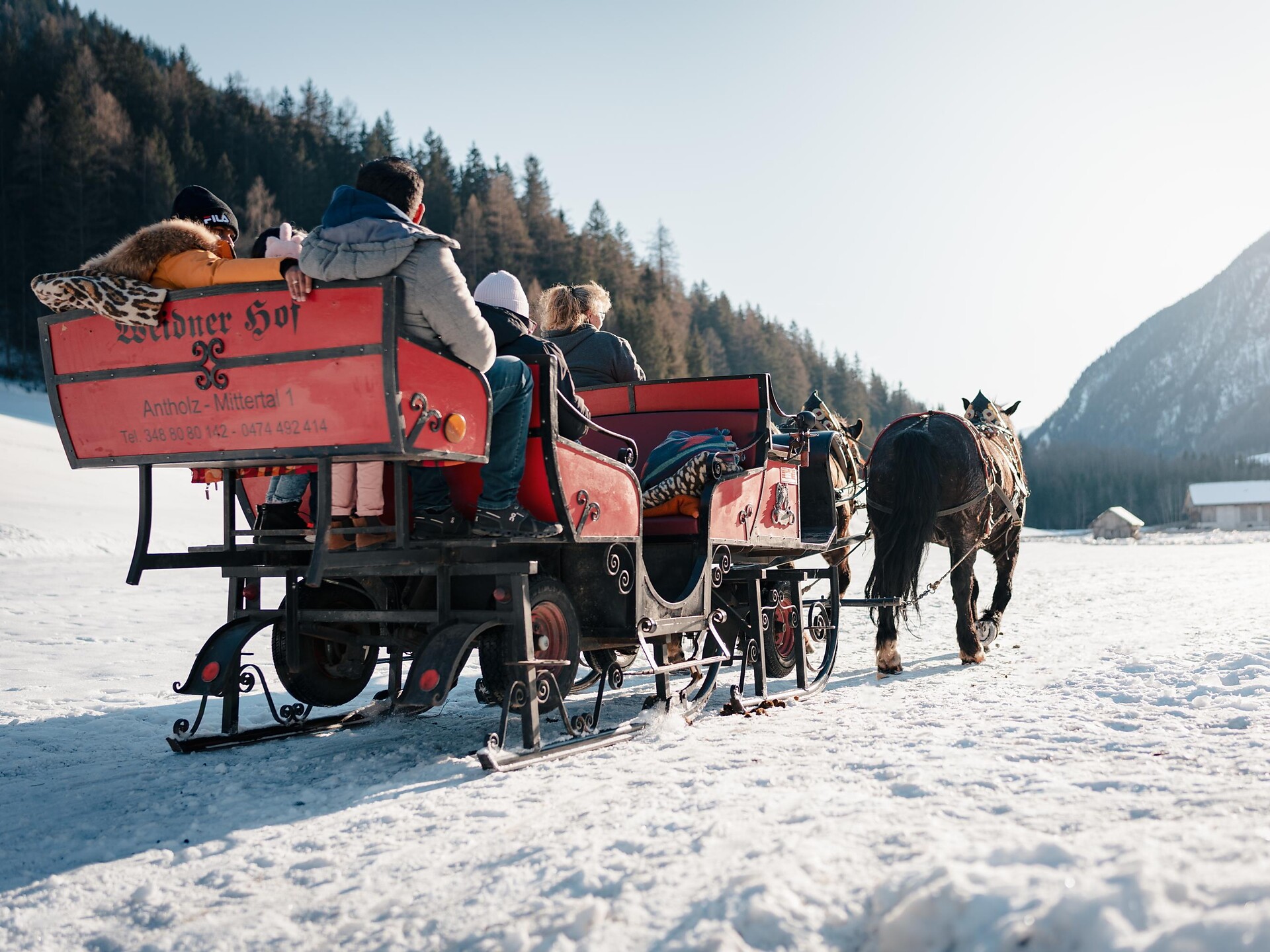 Gite in slitta trainata da cavalli ad Anterselva di Mezzo - Regione dolomitica Plan de Corones - #7 - suedtirol.info