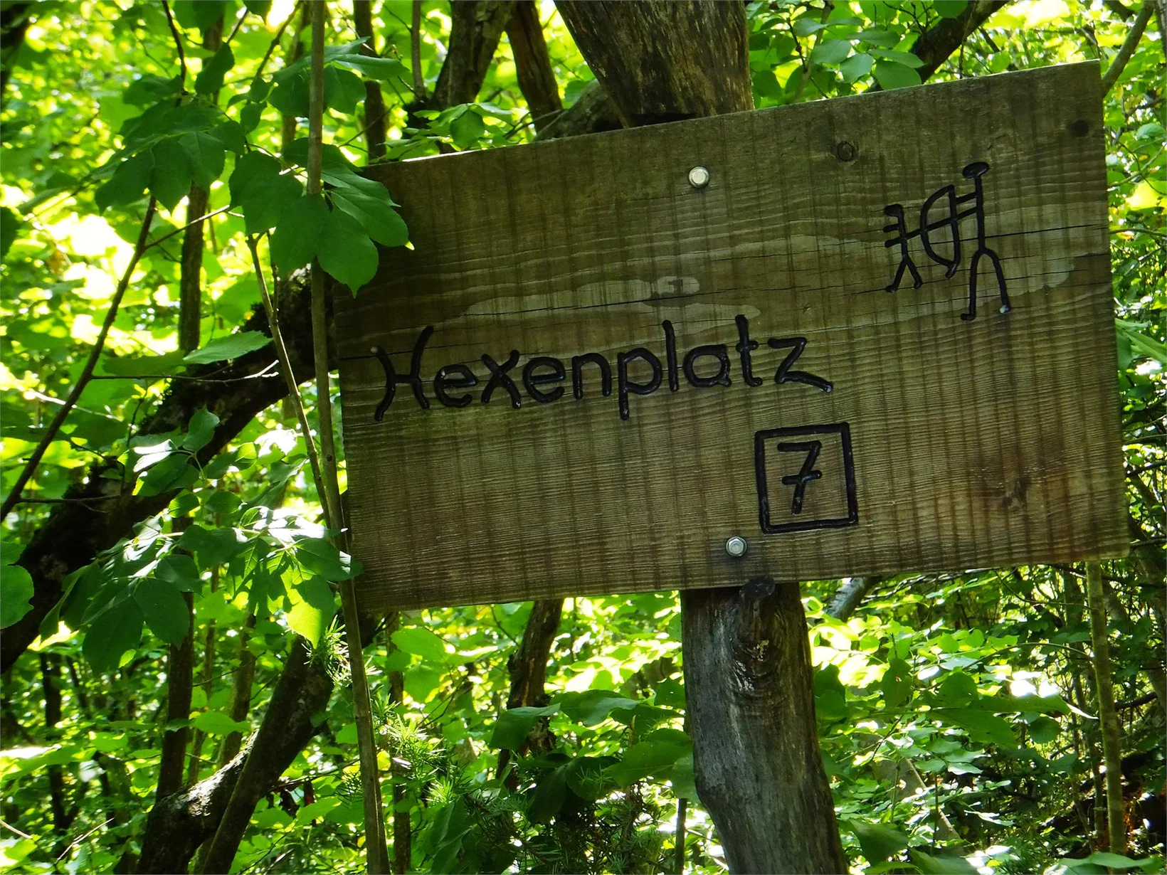 Slide 6