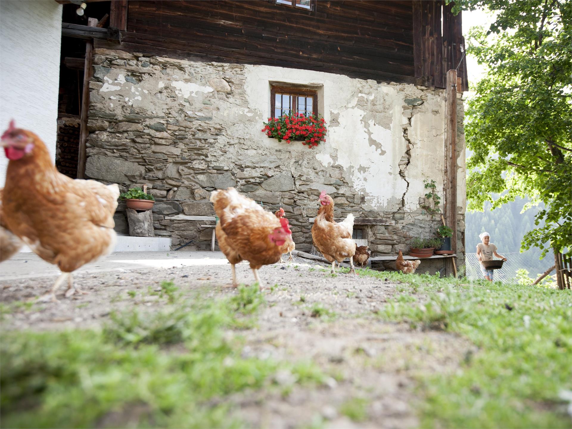 Sentiero dei masi a Fundres Vandoies 4 suedtirol.info