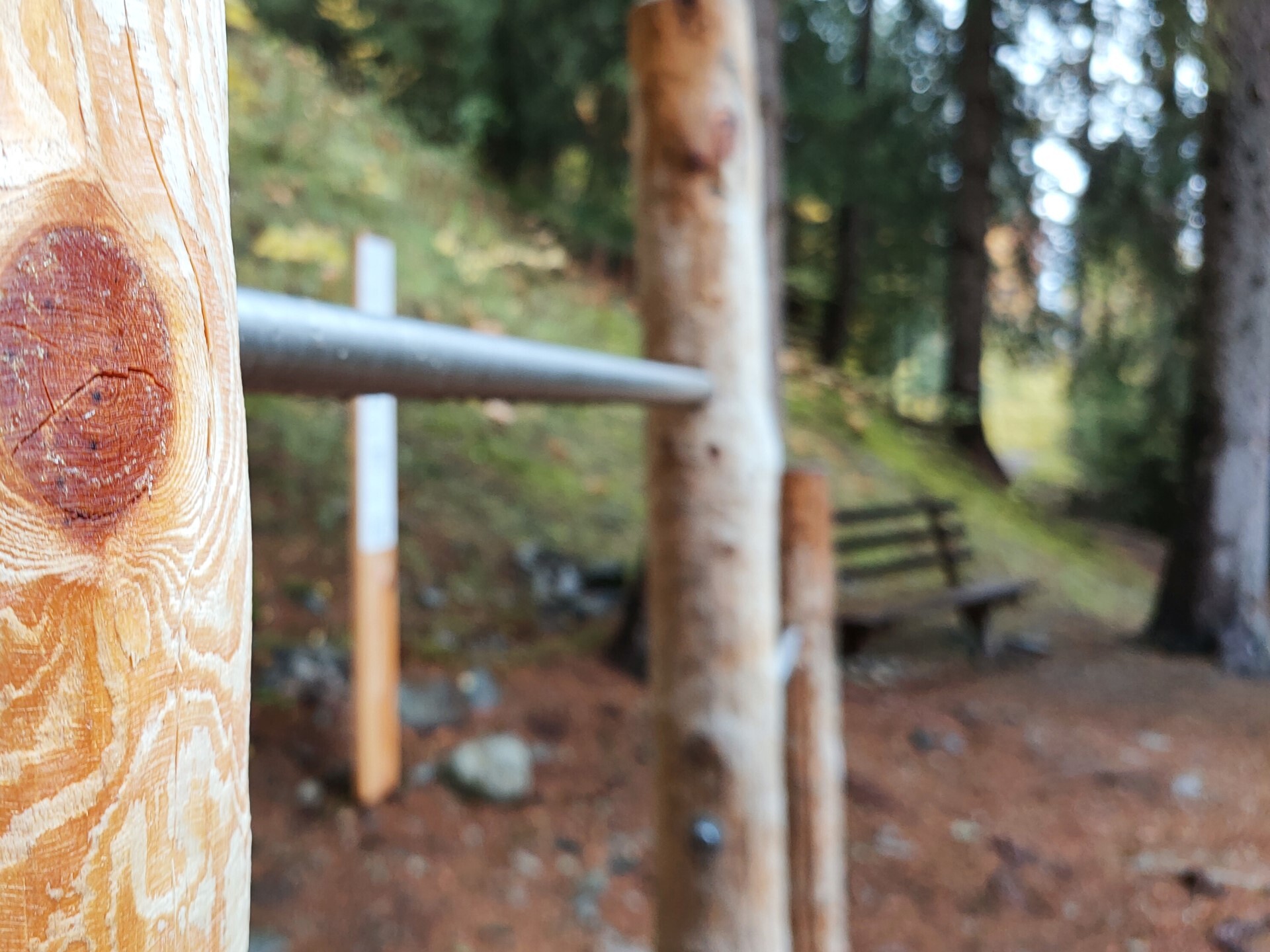 Sentiero Parcour a Gomagoi