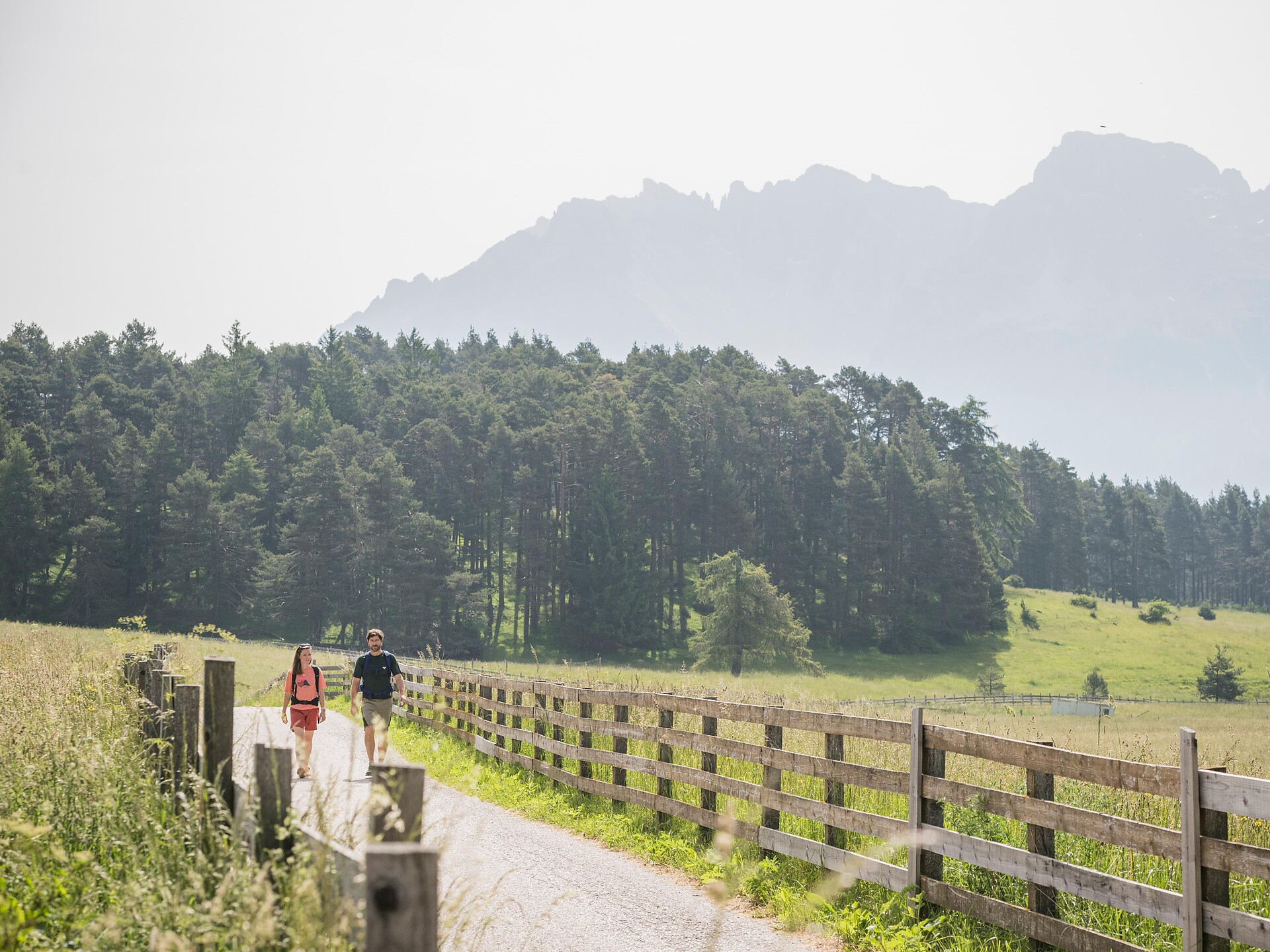 Panorama circular hike in Deutschnofen | Nova Ponente - Dolomites Region Eggental - #1 - suedtirol.info