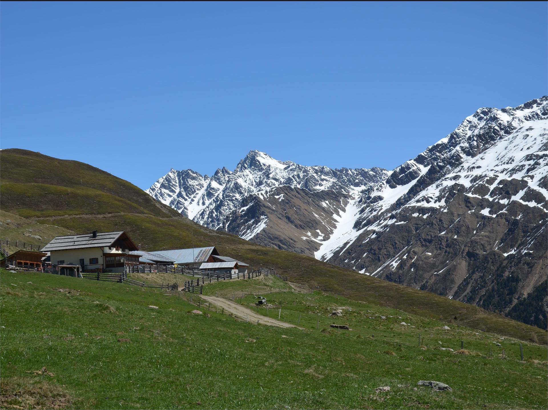 Tour alla Malga di Planol Malles 2 suedtirol.info