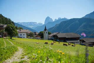 Poststeig - Alternative - Lajen - #4 - suedtirol.info