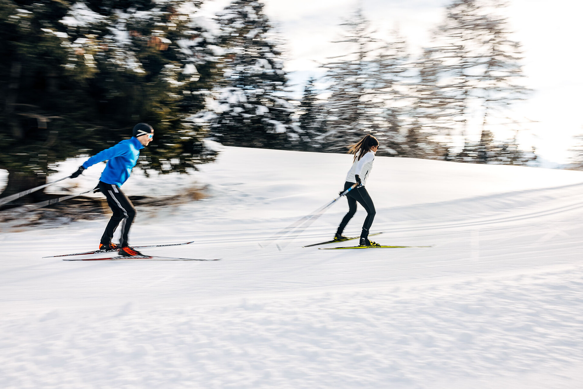 Cross country ski trail - Alp of Villandro  - Brixen/Bressanone and environs - #2 - suedtirol.info