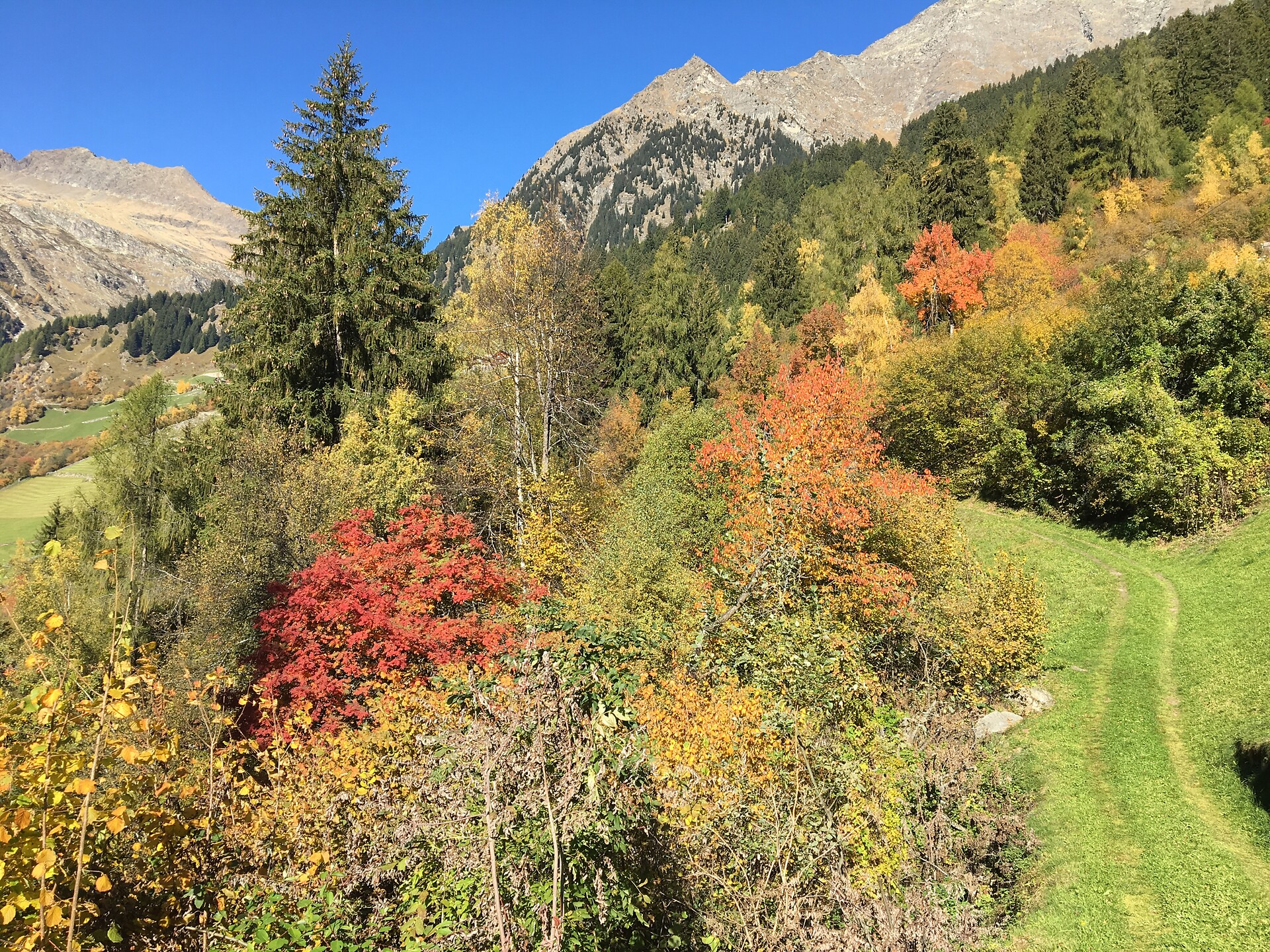 Partschins High Path