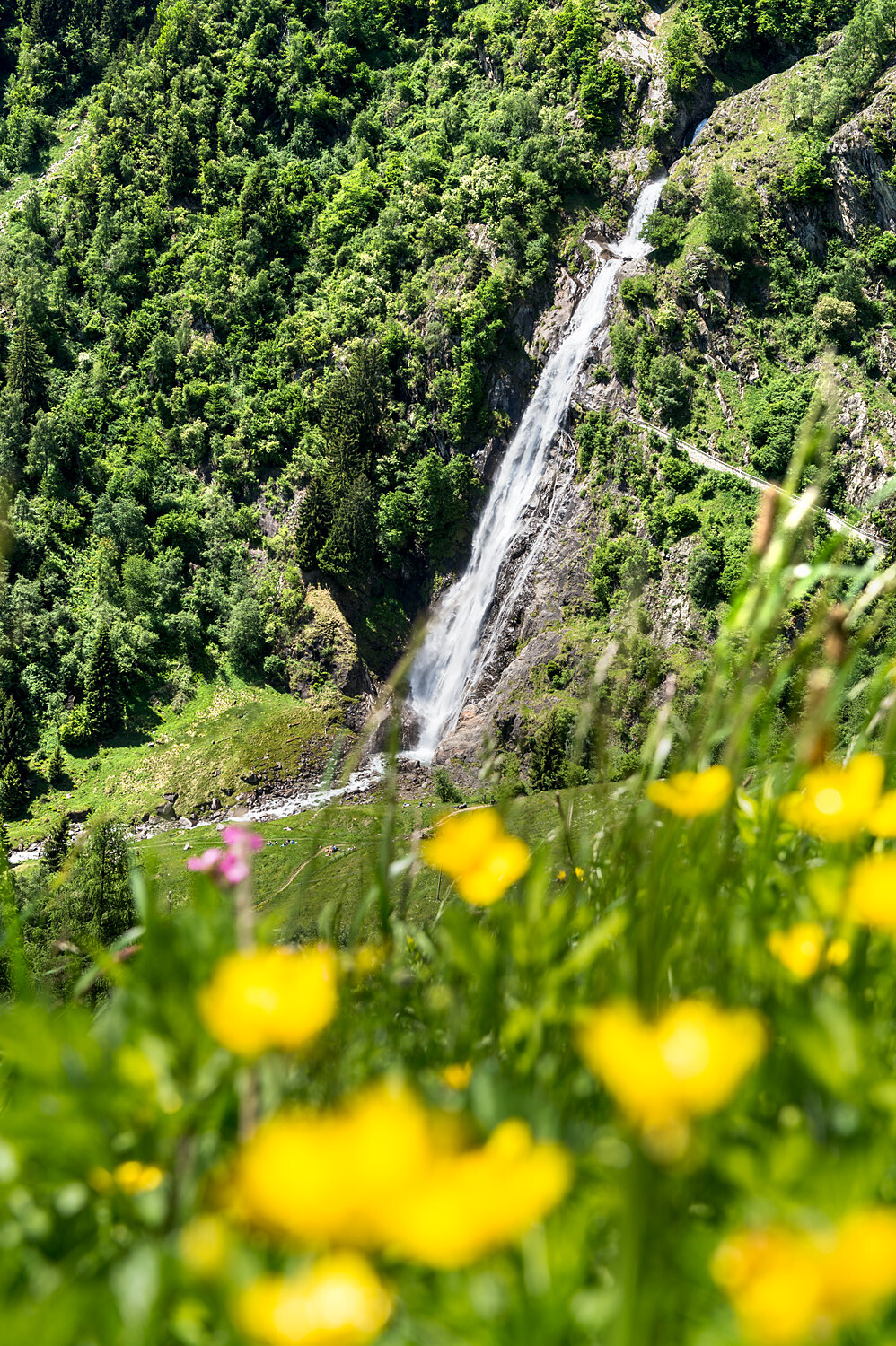 Parcines High Path