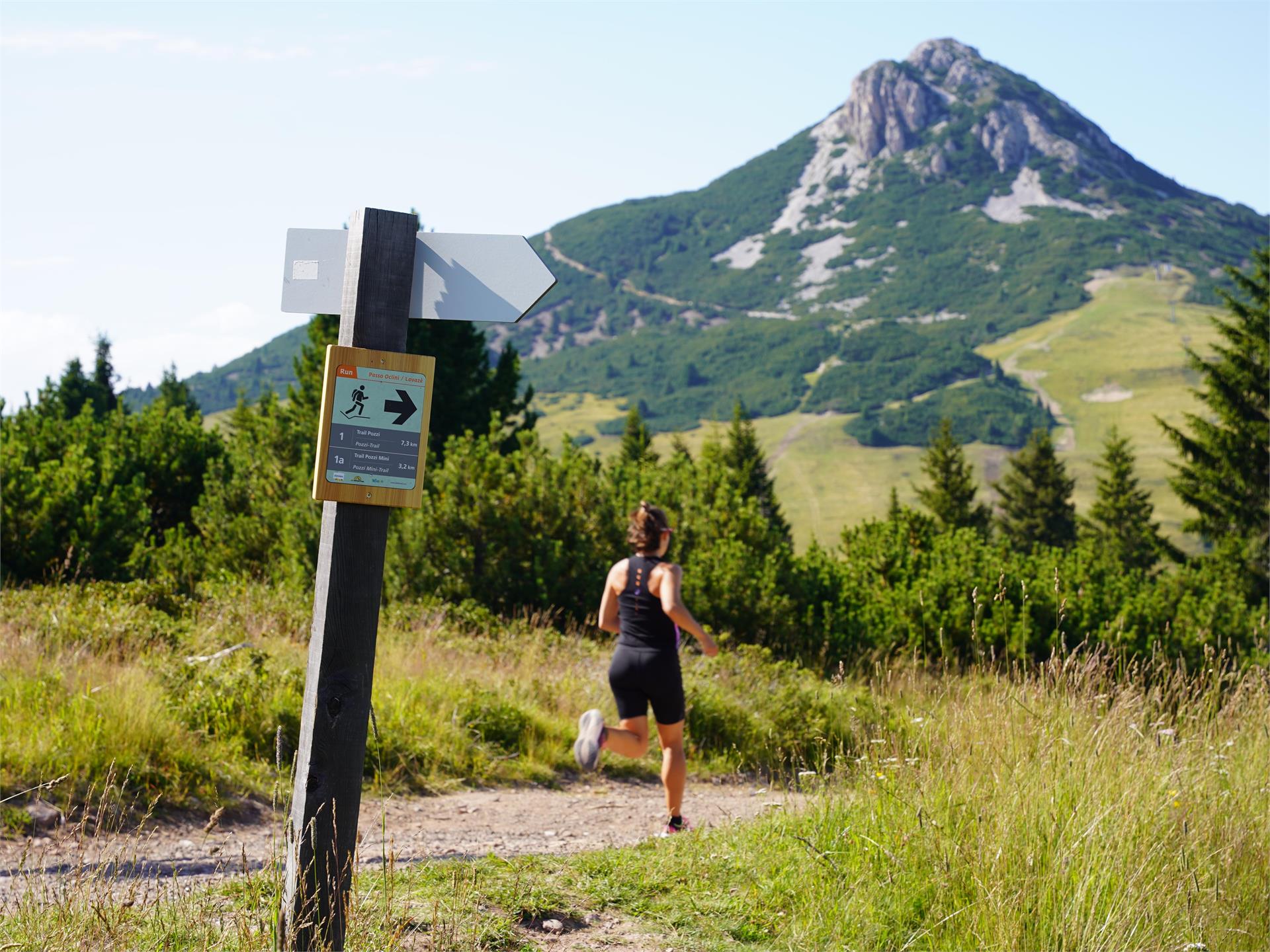Pozzi-Trail Aldein 1 suedtirol.info
