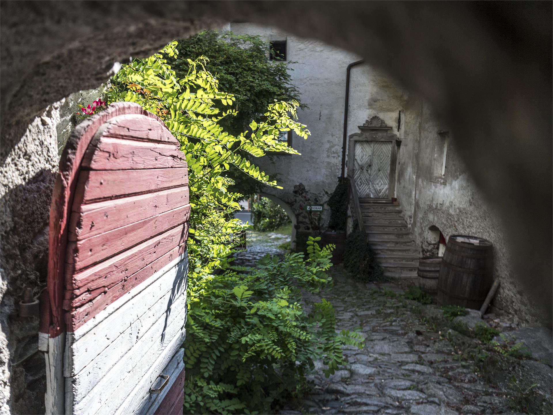 Round trip along the ancient "Waalweg" (irrigation channel) of Partschins/Parcines Partschins/Parcines 6 suedtirol.info