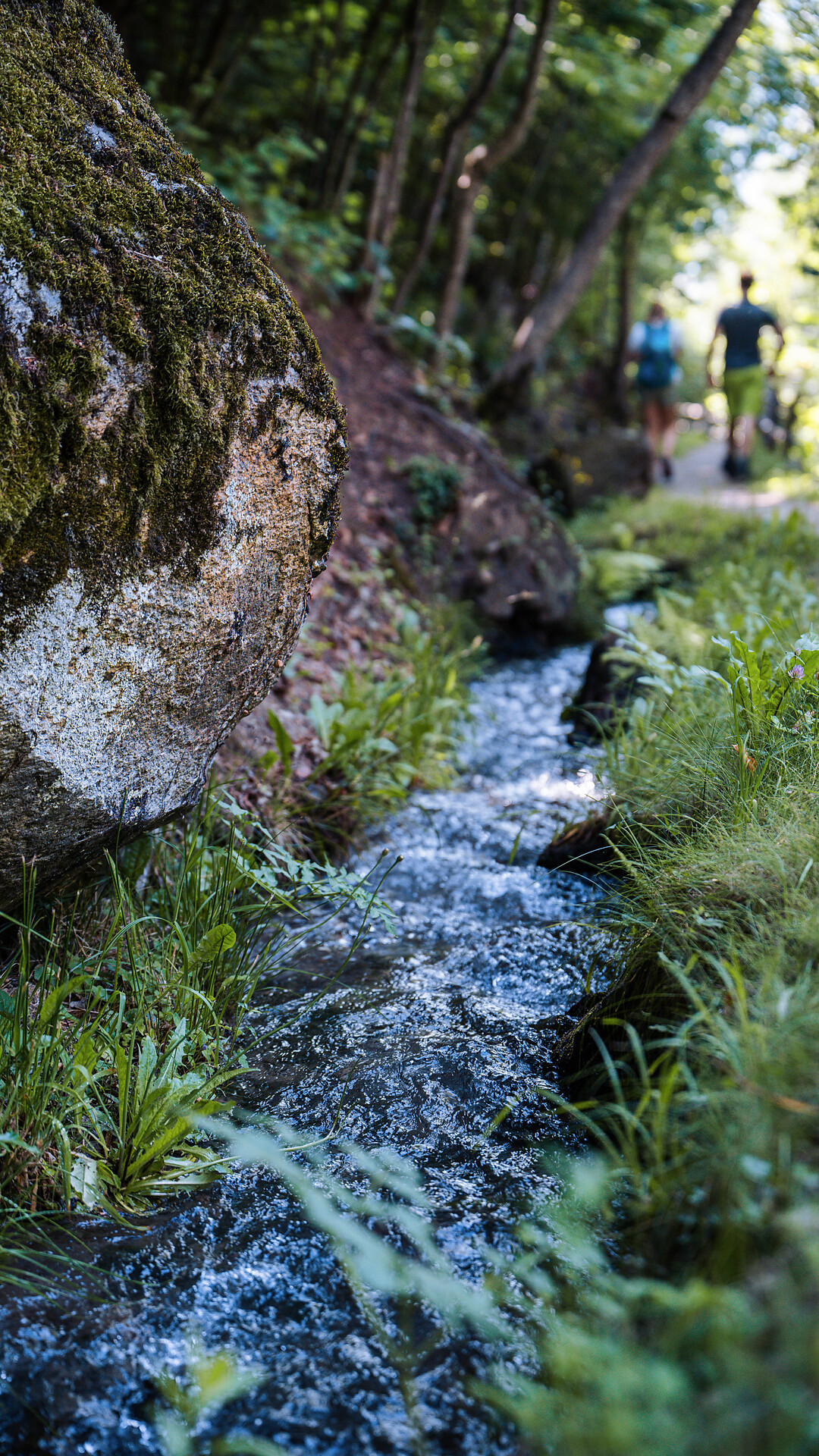 Anello del sentiero della roggia di Parcines - Merano e dintorni - #1 - suedtirol.info
