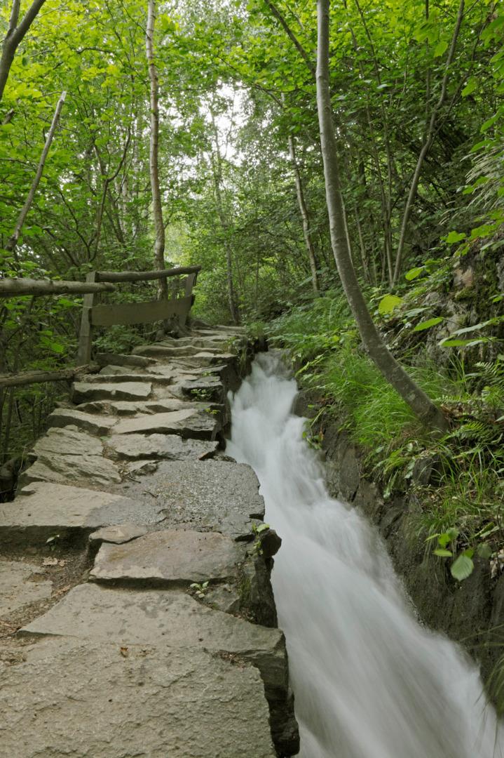 Round trip along the ancient "Waalweg" (irrigation channel) of Partschins/Parcines Partschins/Parcines 8 suedtirol.info