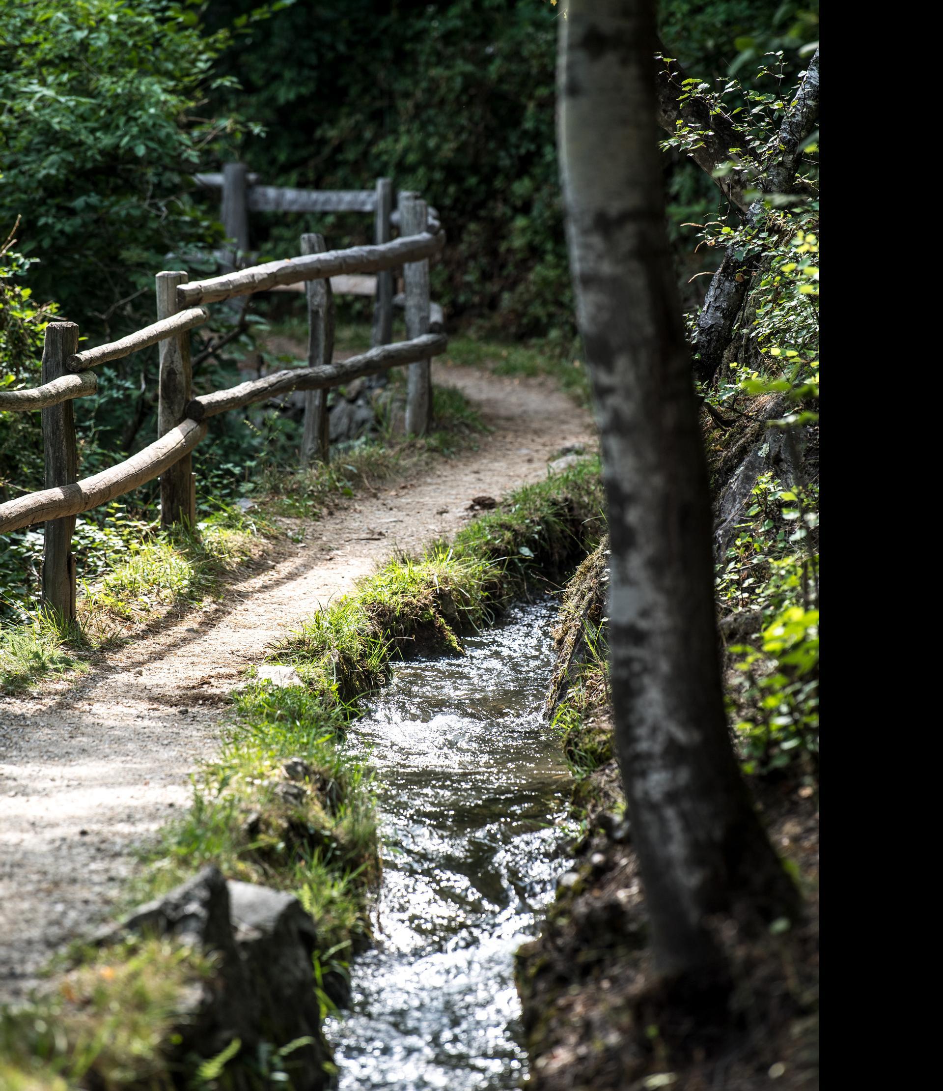 Round trip along the ancient "Waalweg" (irrigation channel) of Partschins/Parcines Partschins/Parcines 1 suedtirol.info