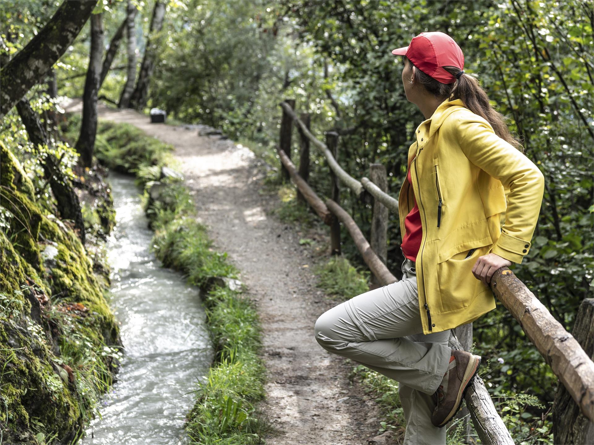 Round trip along the ancient "Waalweg" (irrigation channel) of Partschins/Parcines Partschins/Parcines 4 suedtirol.info