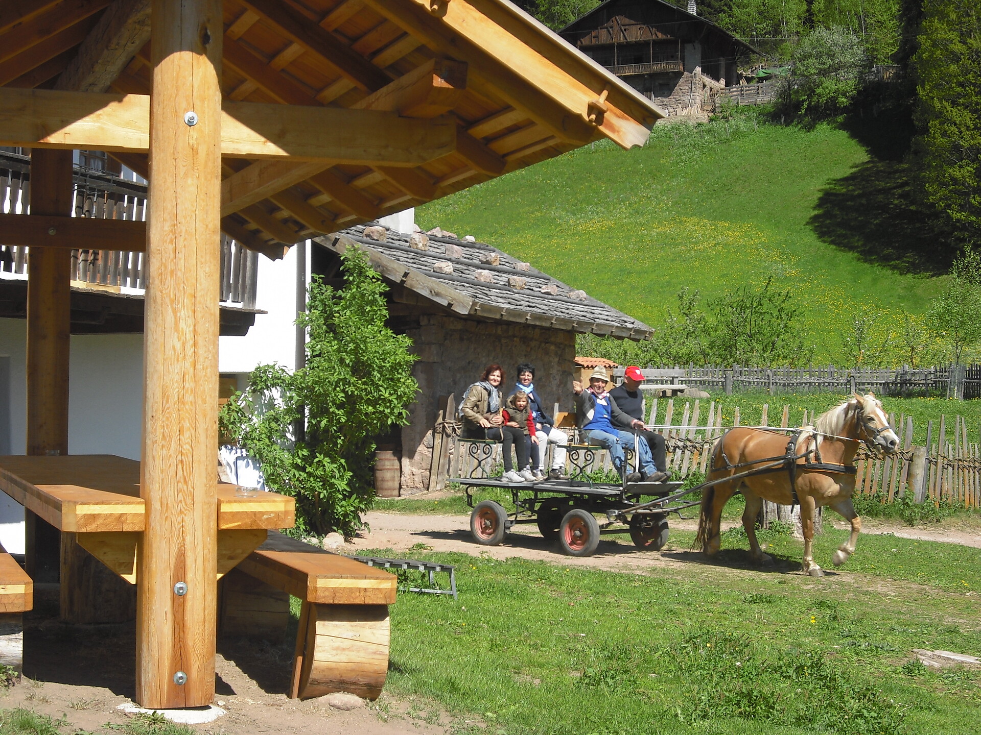 riding school Bacherhof Mölten/Meltina 1 suedtirol.info